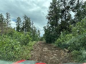 IMG_1746.jpg
