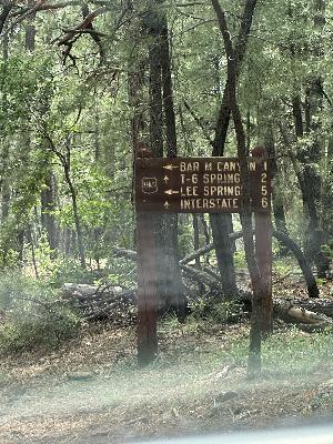IMG_1747.jpg