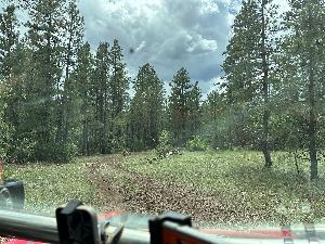 IMG_1750.jpg