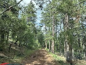 IMG_1758.jpg