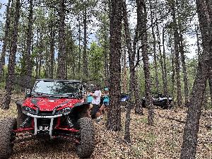 IMG_1771.jpg