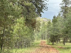 IMG_1772.jpg