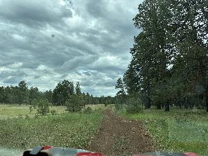 IMG_1774.jpg