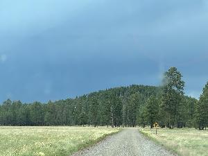 IMG_1775.jpg