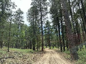 IMG_1796.jpg