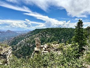 IMG_1799.jpg