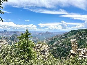 IMG_1800.jpg