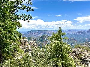 IMG_1801.jpg