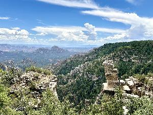 IMG_1803.jpg