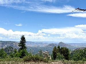 IMG_1808.jpg