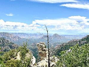 IMG_1809.jpg