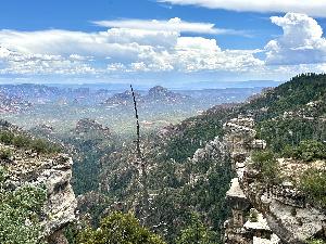 IMG_1811.jpg