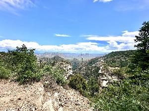IMG_1812.jpg