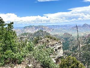 IMG_1813.jpg