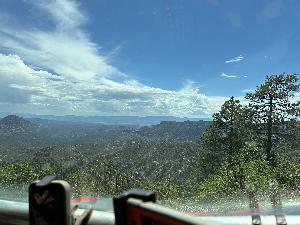 IMG_1817.jpg
