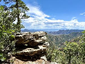 IMG_1826.jpg