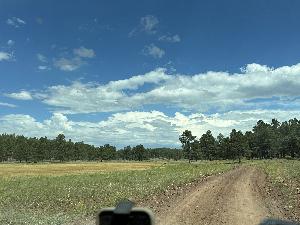 IMG_1829.jpg